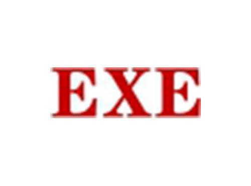 EXE