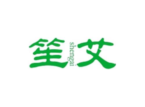 笙艾