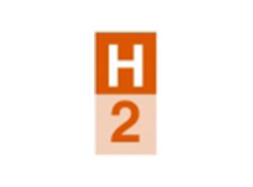 H2