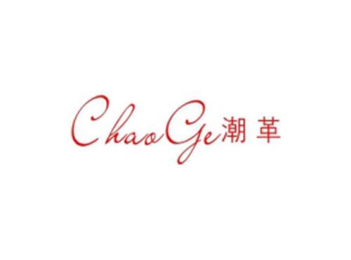 潮革