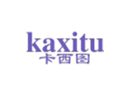 卡西图