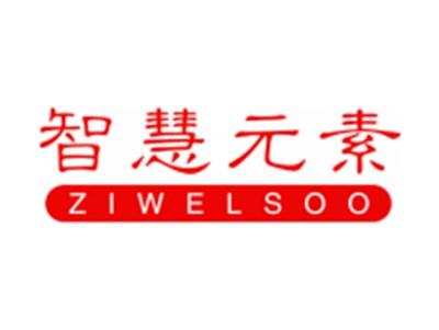 智慧元素