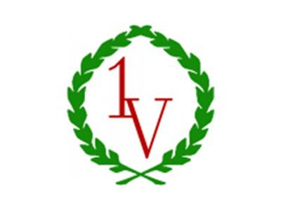 1V