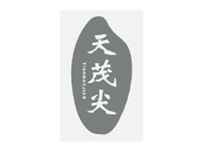 天茂尖TIANMAOJIAN