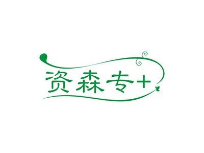 资森专+