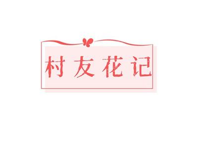 村友花记