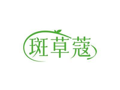 斑草蔻