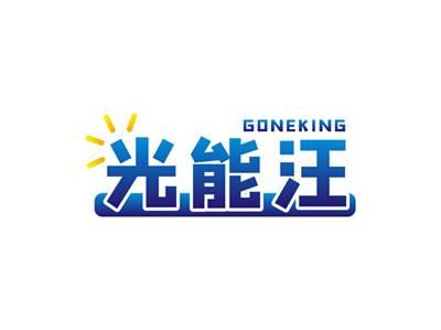 光能汪GONEKING