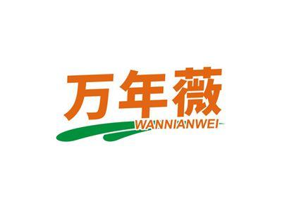 万年薇WANNIANWEI