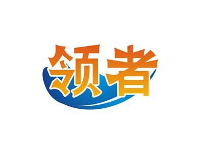 领者