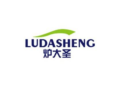 炉大圣LUDASHENG