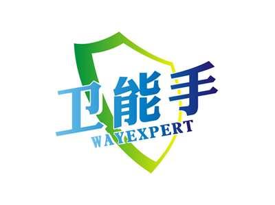 卫能手WAYEXPERT