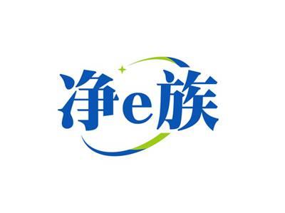 净e族