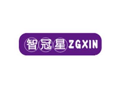 智冠星ZGXIN