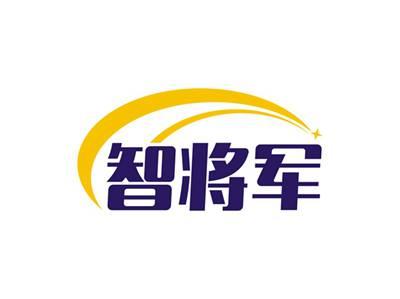 智将军