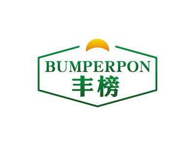丰榜BUMPERPON
