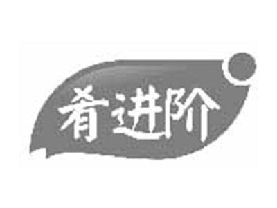 肴进阶