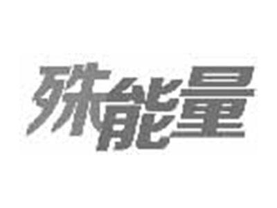 殊能量