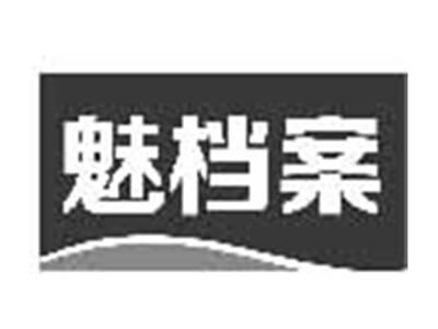 魅档案