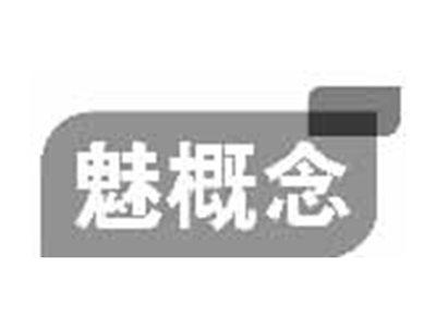 魅概念