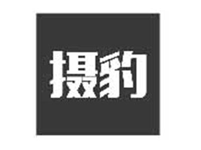 摄豹