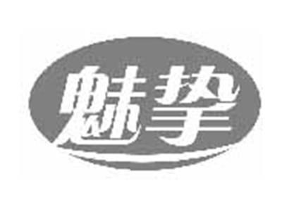 魅挚
