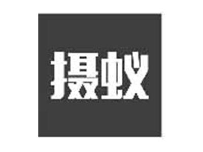 摄蚁