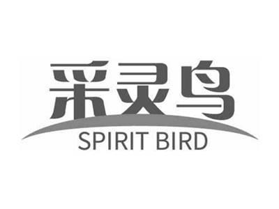 采灵鸟SPIRITBIRD