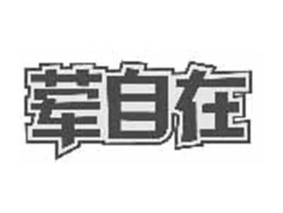 荤自在
