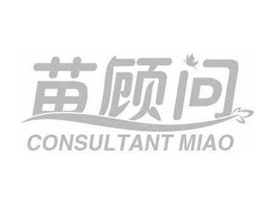 苗顾问CONSULTANTMIAO