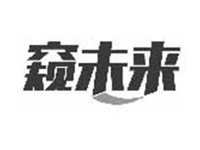 窥未来