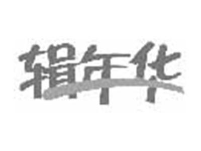 辑年华