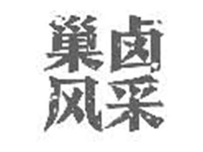 巢卤风采