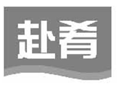 赴肴