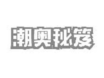 潮奥秘笈