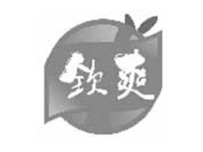 钦爽