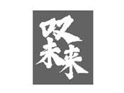 叹未来