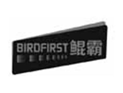 BIRDFIRST鲲霸