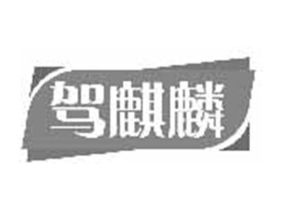 驾麒麟