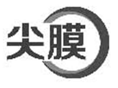 尖膜