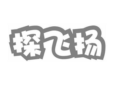 探飞扬
