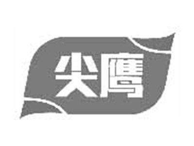 尖鹰