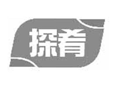 探肴