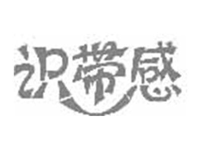 识带感