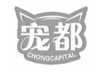 宠都CHONGCAPITAL