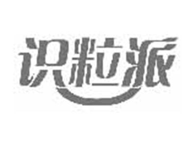 识粒派