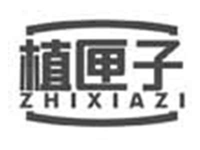 植匣子ZHIXIAZI