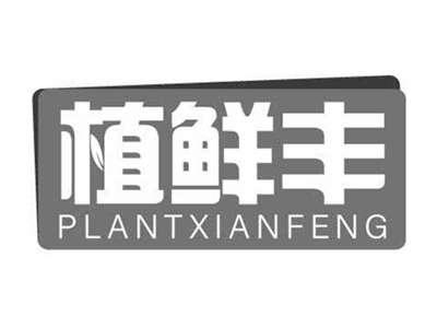 植鲜丰PLANTXIANFENG