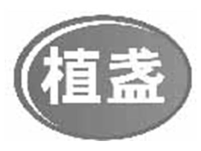 植盏
