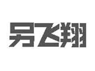 另飞翔